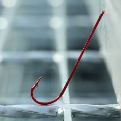 BKK Red Carlisle Bloodworm-R İğne 1