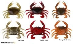 Savage gear LB 3D Manic Crab 5 cm 4 Adet Suni Yem Red & Black Crab
