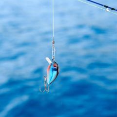 Captain 3397 Lure SET 5cm Floating 5li Maket Balık Seti