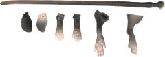 Savage gear LB 3D Rad Maintenance Kit 20 cm Black Suni Yem
