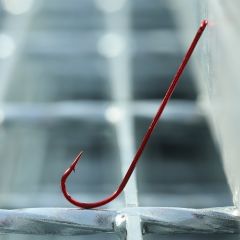 BKK Red Carlisle Bloodworm-R İğne 8